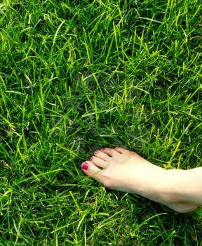 Bare feet on green grass.