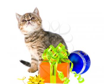 Royalty Free Photo of a Kitten in Front of Presents