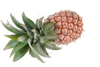 Ripe tasty pineapple isolated on white background                                                              