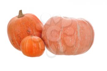orange pumpkin isolated on white background