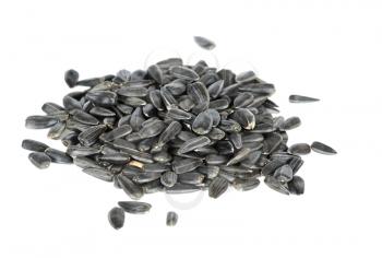 Royalty Free Photo of Sunflower Seeds