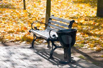 there is in autumn park an empty bench