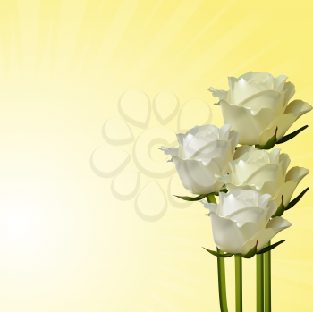 Royalty Free Clipart Image of Ivory Roses 
