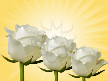 Royalty Free Clipart Image of Roses 