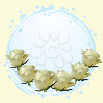 White roses in a blue border with circles on a cream background