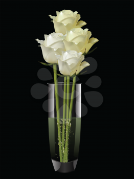 White and ivory roses in a glass vase on a black background