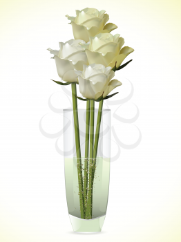 Detailed white and ivory roses in a glass vase