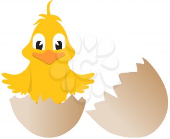 Yellow Cartoon Style Easter Chick Coming Out From Broken Egg