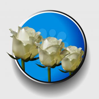 3D Illustration of a Trio of White Ivory Roses Over Blue Metallic Border on White Background