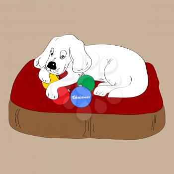Hand Draw White Dog Puppy On Dog Bed Holding Christmas Baubles with Decorative Text Background