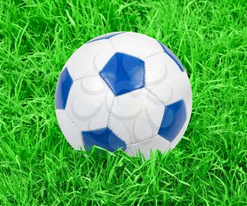 Royalty Free Photo of a Soccer Ball on Grass