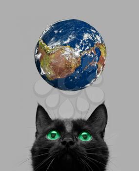 Royalty Free Photo of a Cat Playing With Earth