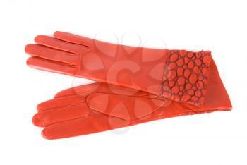 red modern female leather gloves isolated on a white