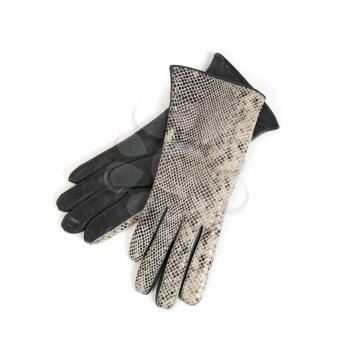 Grey modern female leather gloves isolated on a white