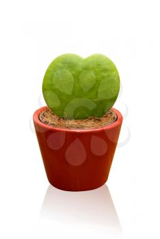 Royalty Free Photo of a Heart-Shaped Cactus