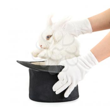 Royalty Free Photo of a Person Holding a Rabbit in a Magic 