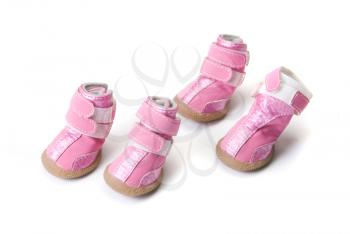 Pink dogs boots isolated on a white background