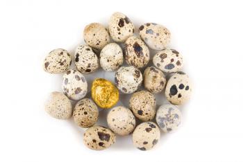 Gold quail egg in many eggs isolated on white