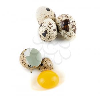 broken egg quail isolated on white background