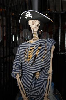 Royalty Free Photo of a Pirate Skeleton
