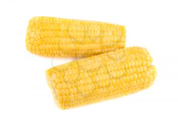 ripe yellow Corn isolated on white background