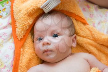 Royalty Free Photo of a Mother Combing Her Baby's Hair