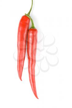 Royalty Free Photo of Red Chili Peppers