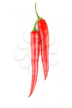 Royalty Free Photo of Red Chili Peppers