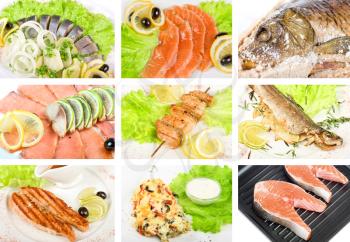 Royalty Free Photo of a Set of Seafood Dishes