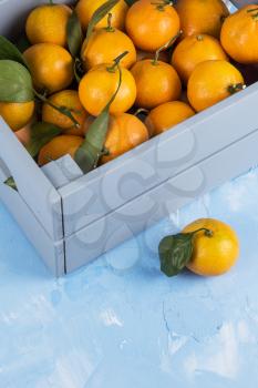 Fresh tangerines in box with leaves on blue concrete background.