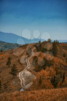 Amazing view of the road in Altay mountain. Autumn day