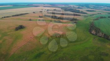 4K aerial of flying over a beautiful green meadow in a rural landscape, in Altai