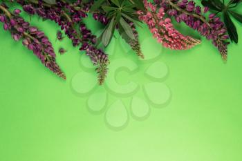 Green paper mockup for text with decor made of flower lupine