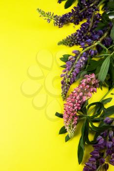 Yellow paper mockup for text with decor made of flower lupine