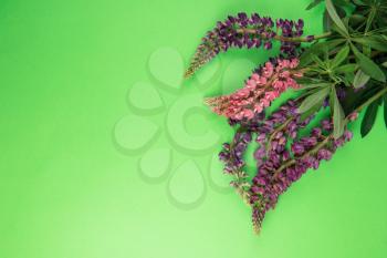 Green paper mockup for text with decor made of flower lupine