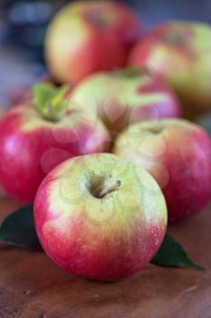 Fresh harvest of ripe apples. Nature fruit concept.