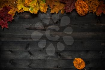 Wood autumn background with free space for design