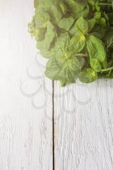 Fresh peppermint on wood texture