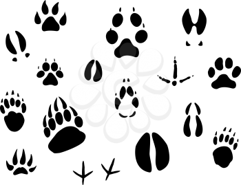 Royalty Free Clipart Image of a Set of Animal Footprints