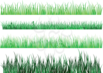 Green grass and field elements isolated on white background