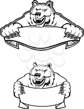 Wild kodiak bear as a mascot isolated on white background
