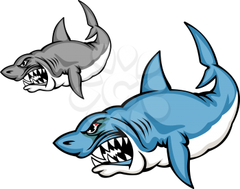Danger blue shark in cartoon style isolated on white background