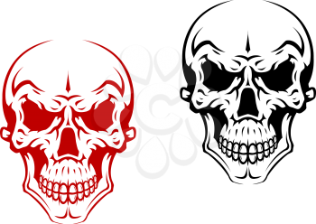 Human skull for horror or halloween design
