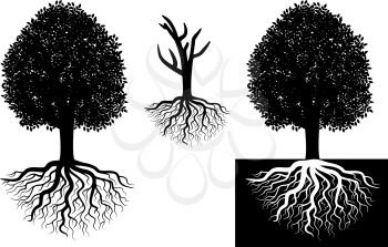 Isolated tree with roots for ecology concepts
