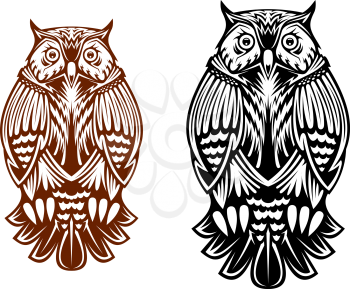 Beautiful owl isolated on white background for sport team mascot, tattoo or emblem design