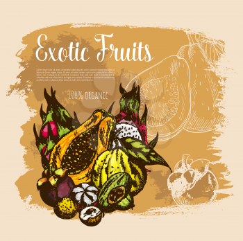 Exotic fruits poster. Vector harvest of papaya and mangosteen, tropical yuzu and guava, lychee and dragon fruit. Juicy carambola star fruit and passionfruit maracuya for organic shop
