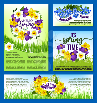 Hello Spring greeting posters set. Vector design template for springtime holiday. Blooming flowers and floral wreath bouquets of tulips, daffodils or spring crocuses, narcissus and iris flower
