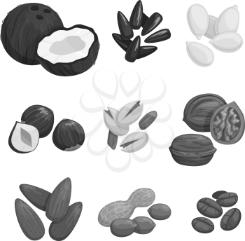 Nuts and grain icons of coconut, coffee beans and cashew or peanut, walnut or hazelnut, sunflower and pumpkin seeds, almond or pistachio nut kernels. Vegetarian nutrition vector isolated set