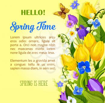 Hello Spring vector greetings and wishes for springtime season holiday. Flowers bouquet of tulips, crocuses and blooming lily of valley blossoms on green field. Spring time quote poster or card templa