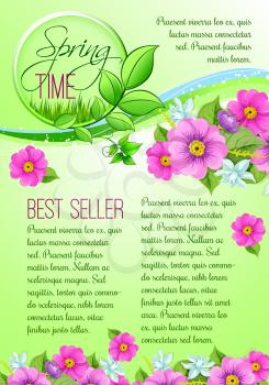 Spring time best seller vector poster template for spring holidays shopping sale discount season. Springtime crocuses and daffodils flowers bunch and blooming bouquets design on green grass